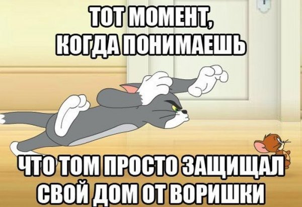 Коты из Тома и Джерри
