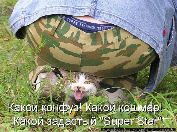 Юмористические надписи