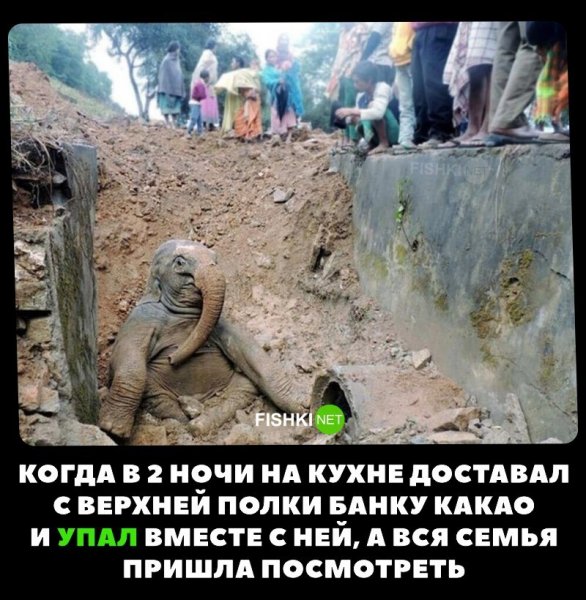Картинки приколы комментарии