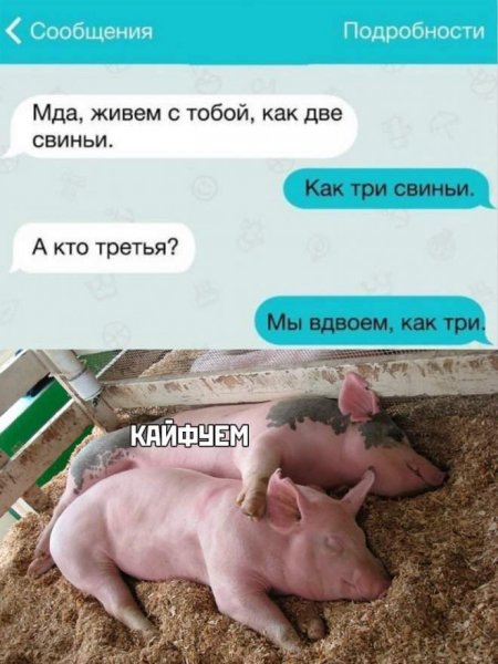 Смешные комментарии