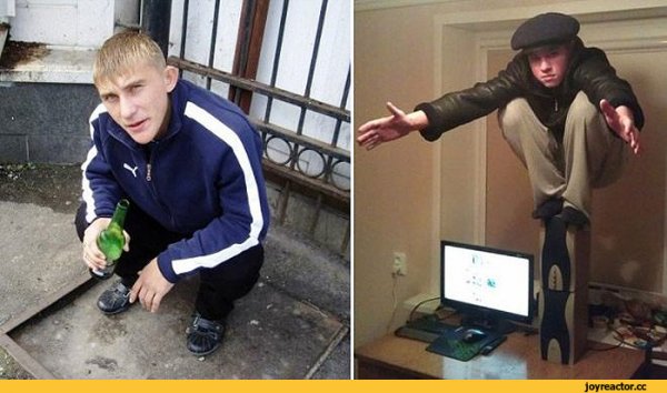 Прикольные картинки стёб