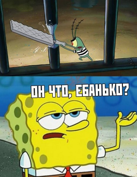 Топовые мемы