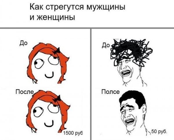 Мемы приколы