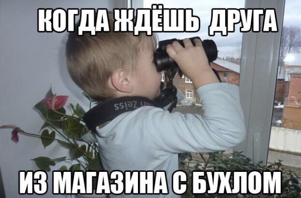 Мемы картинки с надписями