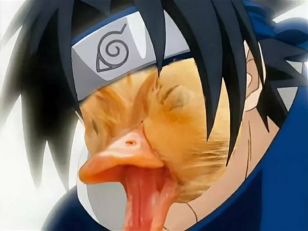 Петух Наруто и Саске