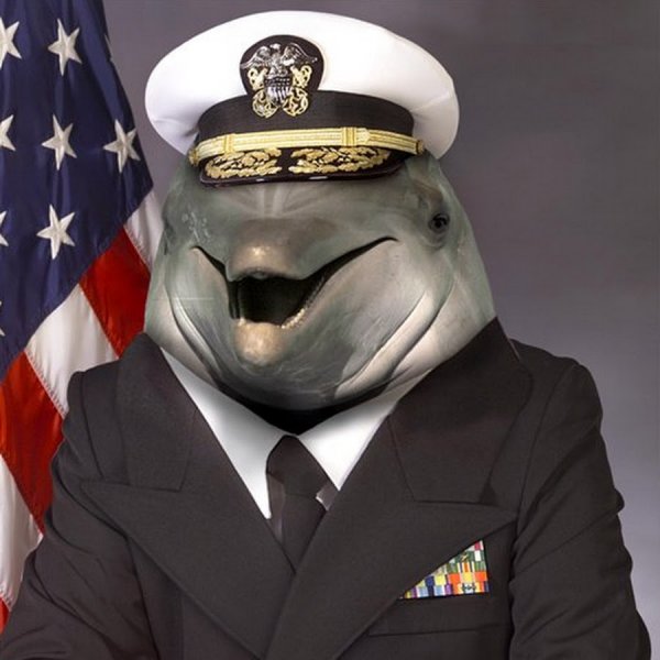 Дельфин Адмирал