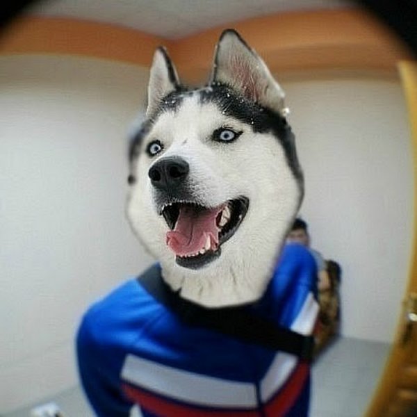 Фото на аватарку группы
