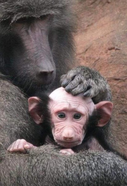 Картинки прикольные смешные с надписями