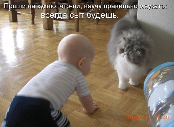 Приколы с надписями до слёз