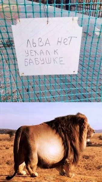 Приколы с надписями