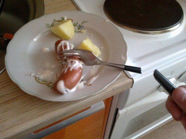 Веселые фото животных с надписями