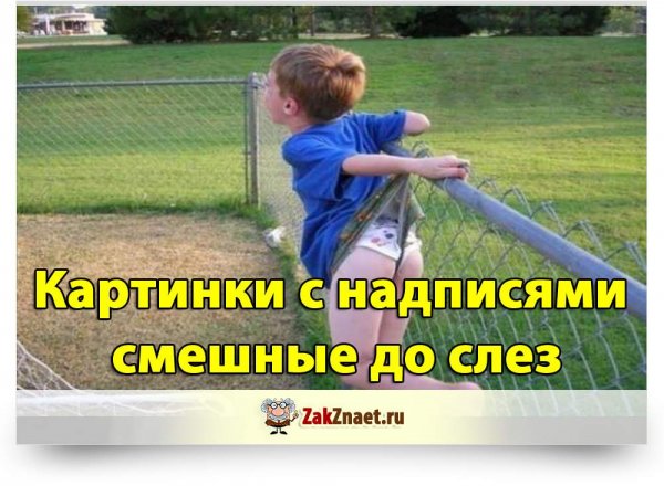 Смешные картинки с надписями
