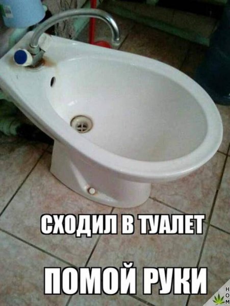 Приколы картинки с надписями