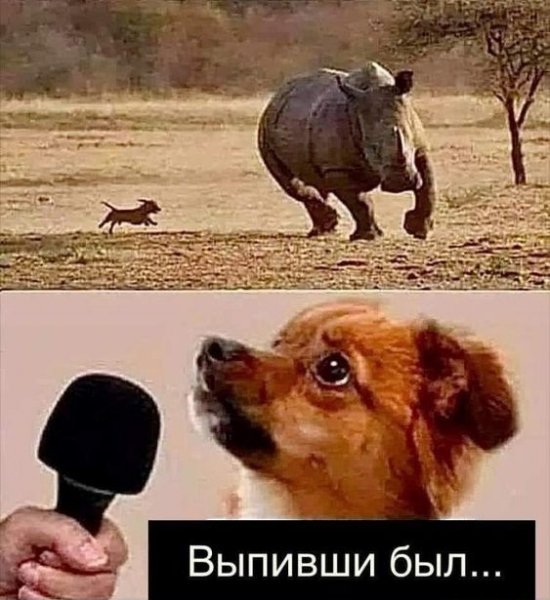 Картинки смешные до слез