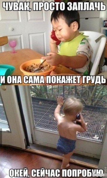 Смешные картинки до слёз