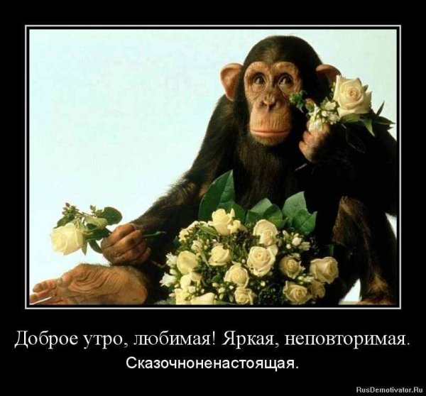 С добрым утром прикольные