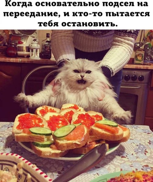 Очень смешная картинка для поднятия настроения