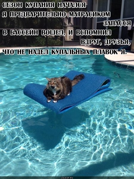 Смешные картинки про отпуск