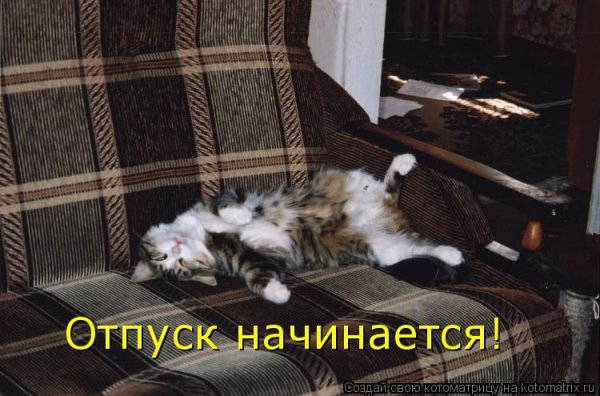 Здравствуй отпуск