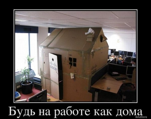 Приколы в офисе