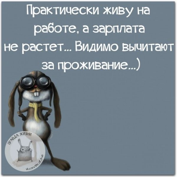 Смешные высказывания про работу