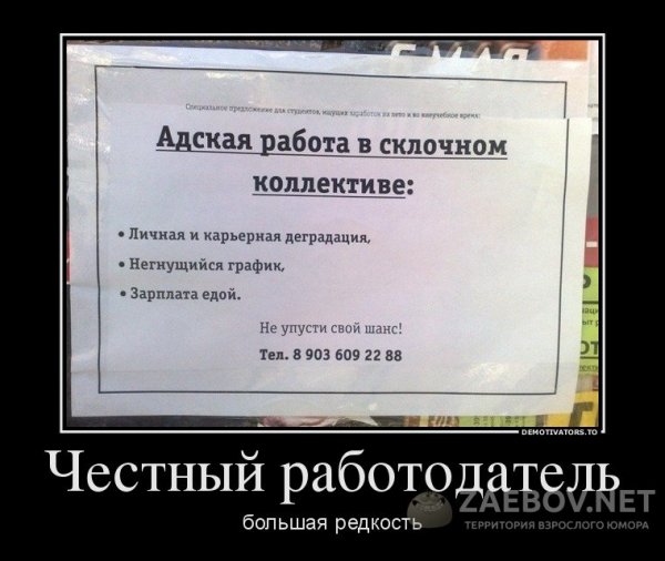 Приколы про работу