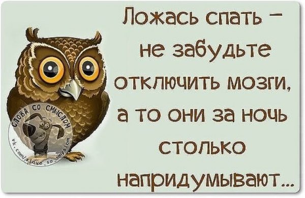 Спокойной ночи прикол