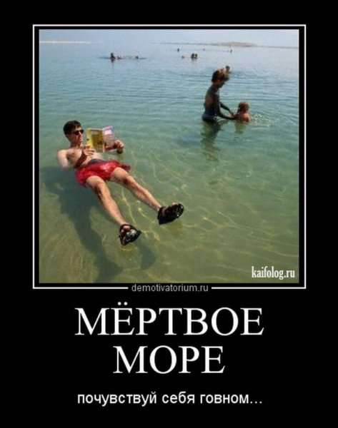 Шутки про лето