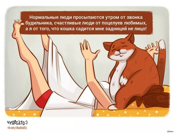 С добрым утром юмор
