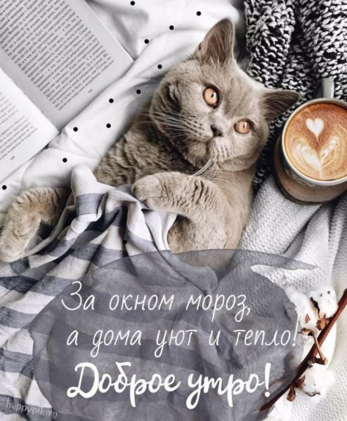 Открытки с добрым утром прикольные