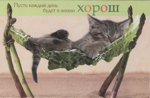 Открытки прикольные на каждый день