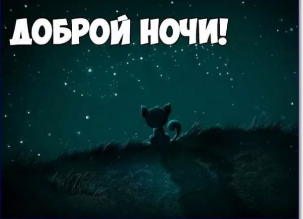 Спокойной ночи картинки прикольные