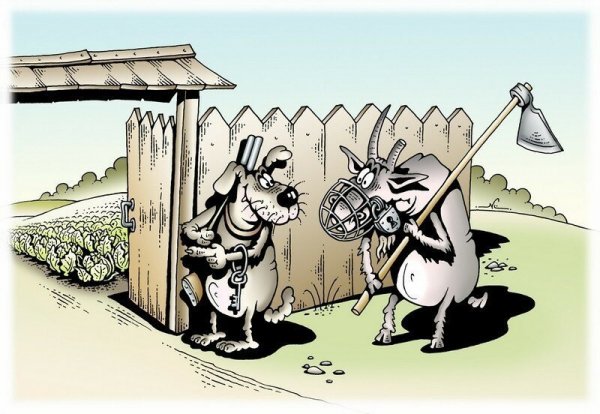 Огород карикатура