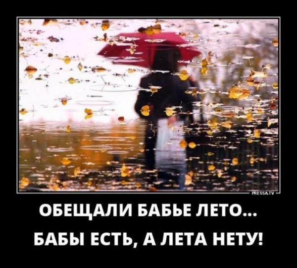 Смешное про бабье лето