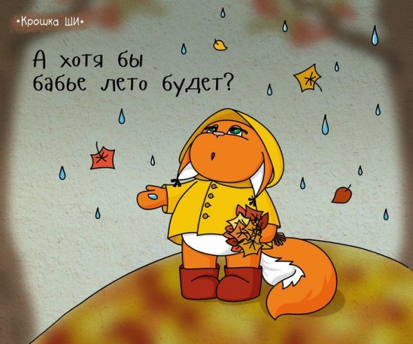 Крошка ши приколы