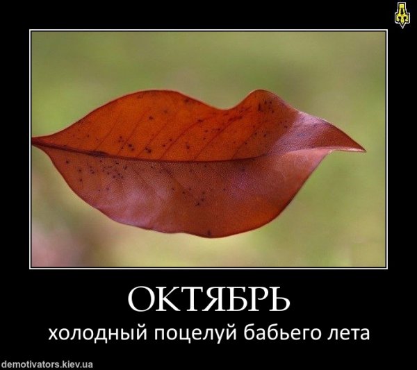 Бабье лето демотиватор