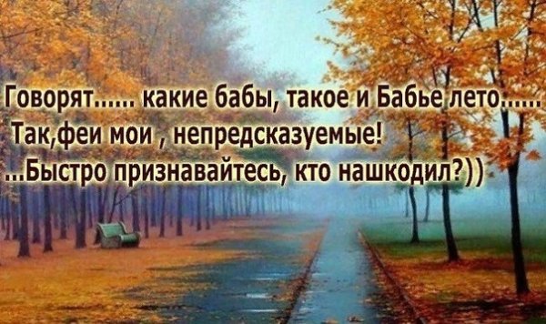 Смешные фразы про бабье лето
