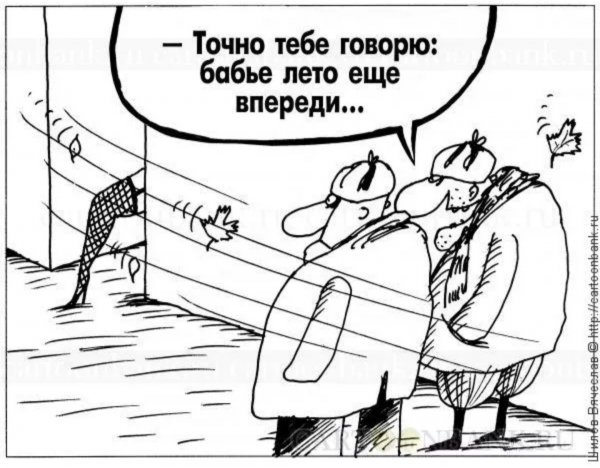 Карикатура бабье лето
