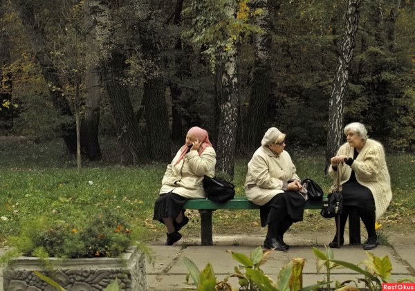 Бабки в парке
