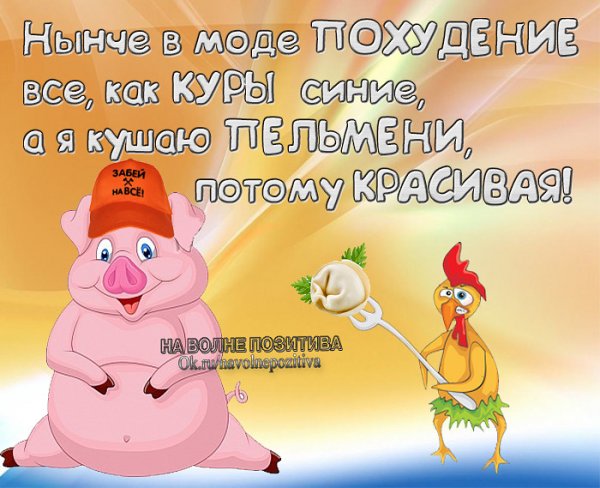 Смешные статусы в картинках