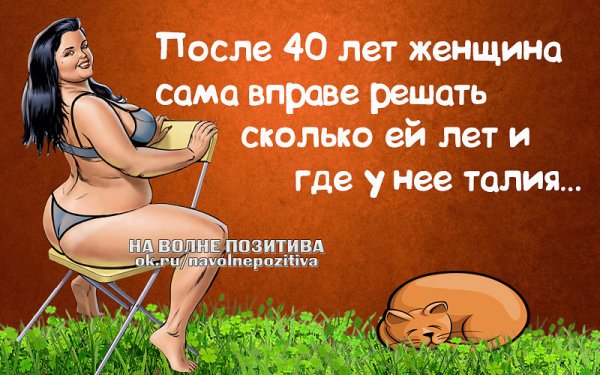 Статусы с юмором в картинках