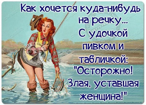 Статусы юмор