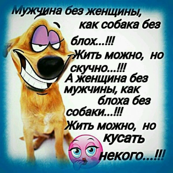 Смешные статусы для ватсапа