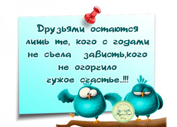 Открытки о жизни с юмором