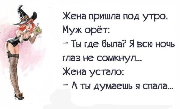 Смешные афоризмы короткие шутки