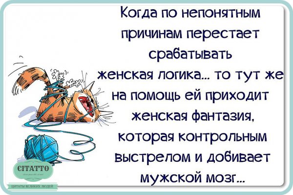 Цитаты с юмором