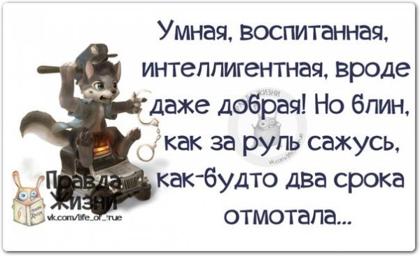 Умные высказывания анекдоты со смыслом