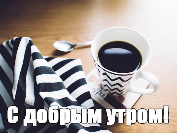 Утренний прикол для настроения