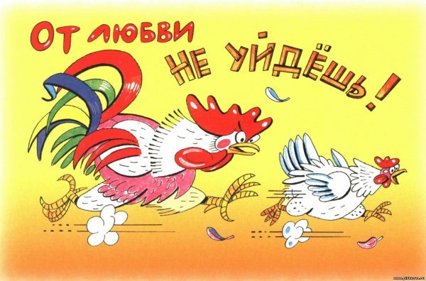 Прикольные открытки