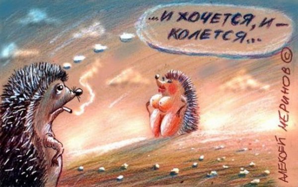 И хочется и колется